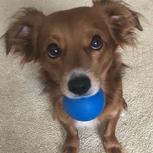 Meet your Posher, Shawna